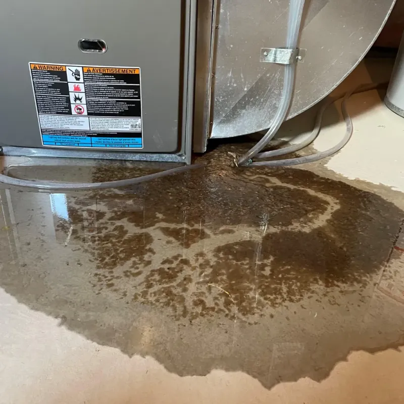 Appliance Leak Cleanup in Newark, OH